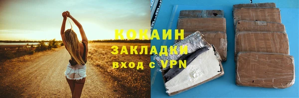 индика Аркадак
