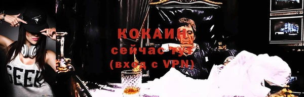 гашик Нефтекумск