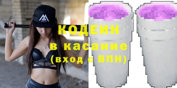 индика Аркадак