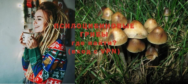 индика Аркадак