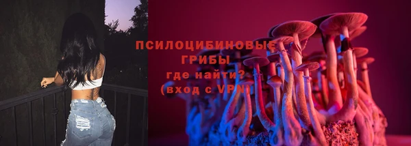 спиды Алексин