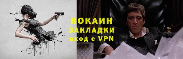 индика Аркадак
