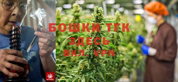 индика Аркадак