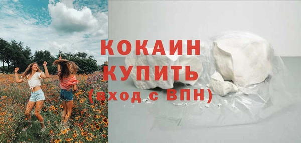 индика Аркадак