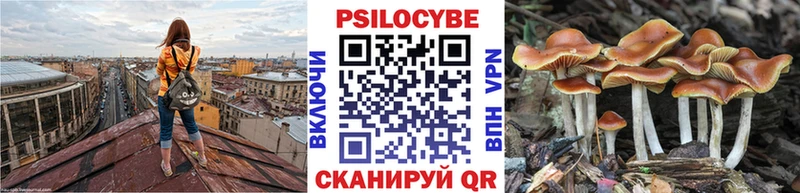Галлюциногенные грибы Cubensis  Трёхгорный 