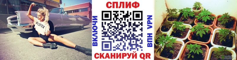 Конопля индика  продажа наркотиков  Трёхгорный 